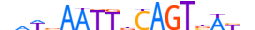 SOX9.H13CORE.2.S.B motif logo (SOX9 gene, SOX9_HUMAN protein)