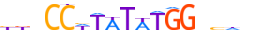 SRF.H13CORE.0.PSM.A motif logo (SRF gene, SRF_HUMAN protein)