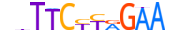 STA5B.H13CORE.0.P.B motif logo (STAT5B gene, STA5B_HUMAN protein)