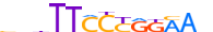 STAT3.H13CORE.0.P.B motif logo (STAT3 gene, STAT3_HUMAN protein)