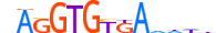 TBX19.H13CORE.1.SM.B motif logo (TBX19 gene, TBX19_HUMAN protein)