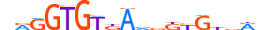 TBX20.H13CORE.2.SM.B motif logo (TBX20 gene, TBX20_HUMAN protein)