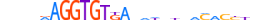 TBX5.H13CORE.2.S.B motif logo (TBX5 gene, TBX5_HUMAN protein)