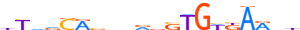 TBXT.H13CORE.0.PS.A motif logo (TBXT gene, TBXT_HUMAN protein)