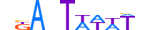 TCF20.H13CORE.0.B.B motif logo (TCF20 gene, TCF20_HUMAN protein)