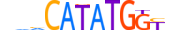 TCF21.H13CORE.1.SM.B motif logo (TCF21 gene, TCF21_HUMAN protein)