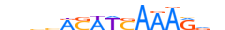 TCF7.H13CORE.0.PSM.A motif logo (TCF7 gene, TCF7_HUMAN protein)