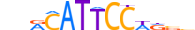 TEAD1.H13CORE.0.PSM.A motif logo (TEAD1 gene, TEAD1_HUMAN protein)