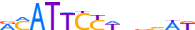 TEAD1.H13CORE.1.P.C motif logo (TEAD1 gene, TEAD1_HUMAN protein)