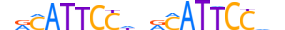 TEAD1.H13CORE.2.S.C motif logo (TEAD1 gene, TEAD1_HUMAN protein)