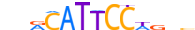 TEAD3.H13CORE.0.PS.A motif logo (TEAD3 gene, TEAD3_HUMAN protein)