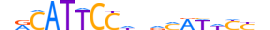 TEAD3.H13CORE.1.S.B motif logo (TEAD3 gene, TEAD3_HUMAN protein)