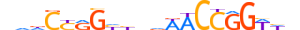 TF2L1.H13CORE.0.PSM.A motif logo (TFCP2L1 gene, TF2L1_HUMAN protein)