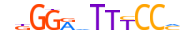 TF65.H13CORE.0.P.B motif logo (RELA gene, TF65_HUMAN protein)