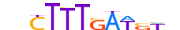 TF7L1.H13CORE.0.PM.A motif logo (TCF7L1 gene, TF7L1_HUMAN protein)