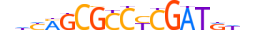 TF7L1.H13CORE.2.S.C motif logo (TCF7L1 gene, TF7L1_HUMAN protein)