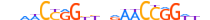 TFCP2.H13CORE.1.SM.B motif logo (TFCP2 gene, TFCP2_HUMAN protein)