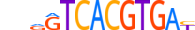 TFEC.H13CORE.1.SM.B motif logo (TFEC gene, TFEC_HUMAN protein)