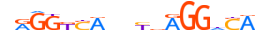 THA.H13CORE.0.P.B motif logo (THRA gene, THA_HUMAN protein)