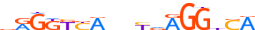 THB.H13CORE.0.P.B motif logo (THRB gene, THB_HUMAN protein)