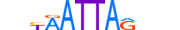 TLX2.H13CORE.0.SM.B motif logo (TLX2 gene, TLX2_HUMAN protein)