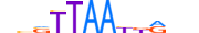 TLX3.H13CORE.0.SM.B motif logo (TLX3 gene, TLX3_HUMAN protein)