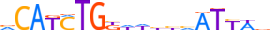 TWST1.H13CORE.0.P.B motif logo (TWIST1 gene, TWST1_HUMAN protein)