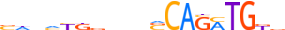 TWST2.H13CORE.0.P.B motif logo (TWIST2 gene, TWST2_HUMAN protein)