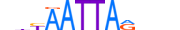 UNC4.H13CORE.1.S.B motif logo (UNCX gene, UNC4_HUMAN protein)