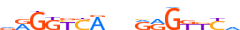 VDR.H13CORE.0.PS.A motif logo (VDR gene, VDR_HUMAN protein)