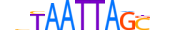 VSX1.H13CORE.0.SM.B motif logo (VSX1 gene, VSX1_HUMAN protein)