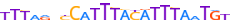 Z354A.H13CORE.0.P.B motif logo (ZNF354A gene, Z354A_HUMAN protein)