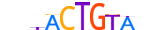 ZBT16.H13CORE.0.P.B motif logo (ZBTB16 gene, ZBT16_HUMAN protein)