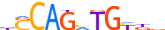 ZBT18.H13CORE.0.PSM.A motif logo (ZBTB18 gene, ZBT18_HUMAN protein)