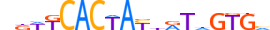 ZBT22.H13CORE.0.SM.B motif logo (ZBTB22 gene, ZBT22_HUMAN protein)