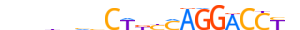 ZBT24.H13CORE.0.P.B motif logo (ZBTB24 gene, ZBT24_HUMAN protein)