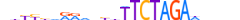 ZBT26.H13CORE.1.SM.B motif logo (ZBTB26 gene, ZBT26_HUMAN protein)