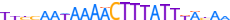 ZBT40.H13CORE.0.P.B motif logo (ZBTB40 gene, ZBT40_HUMAN protein)