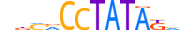 ZBT45.H13CORE.0.SM.B motif logo (ZBTB45 gene, ZBT45_HUMAN protein)