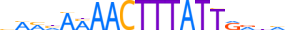 ZBTB40.H13CORE.0.PSG.A motif logo (ZBTB40 gene, ZBT40_HUMAN protein)