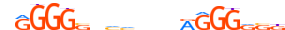 ZBTB41.H13CORE.0.PSG.A motif logo (ZBTB41 gene, ZBT41_HUMAN protein)