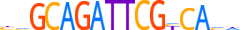 ZFAT.H13CORE.0.PSGI.A motif logo (ZFAT gene, ZFAT_HUMAN protein)