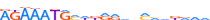 ZFP37.H13CORE.0.P.C motif logo (ZFP37 gene, ZFP37_HUMAN protein)