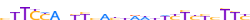 ZFP82.H13CORE.0.P.C motif logo (ZFP82 gene, ZFP82_HUMAN protein)