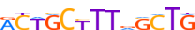 ZFP90.H13CORE.0.P.C motif logo (ZFP90 gene, ZFP90_HUMAN protein)