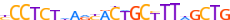 ZFP90.H13CORE.1.P.C motif logo (ZFP90 gene, ZFP90_HUMAN protein)