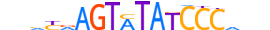 ZKSCAN4.H13CORE.0.SG.A motif logo (ZKSCAN4 gene, ZKSC4_HUMAN protein)