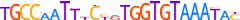 ZN112.H13CORE.0.P.C motif logo (ZNF112 gene, ZN112_HUMAN protein)