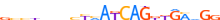 ZN134.H13CORE.1.P.C motif logo (ZNF134 gene, ZN134_HUMAN protein)