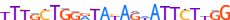 ZN136.H13CORE.0.P.B motif logo (ZNF136 gene, ZN136_HUMAN protein)